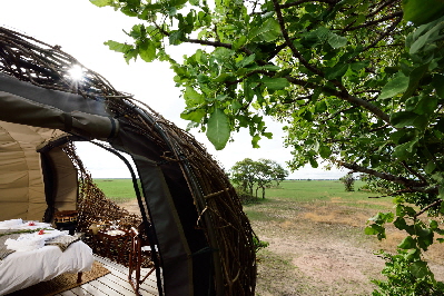 Chisa Busanga- Kafue sambia Chisa Busanga- Kafue sambia