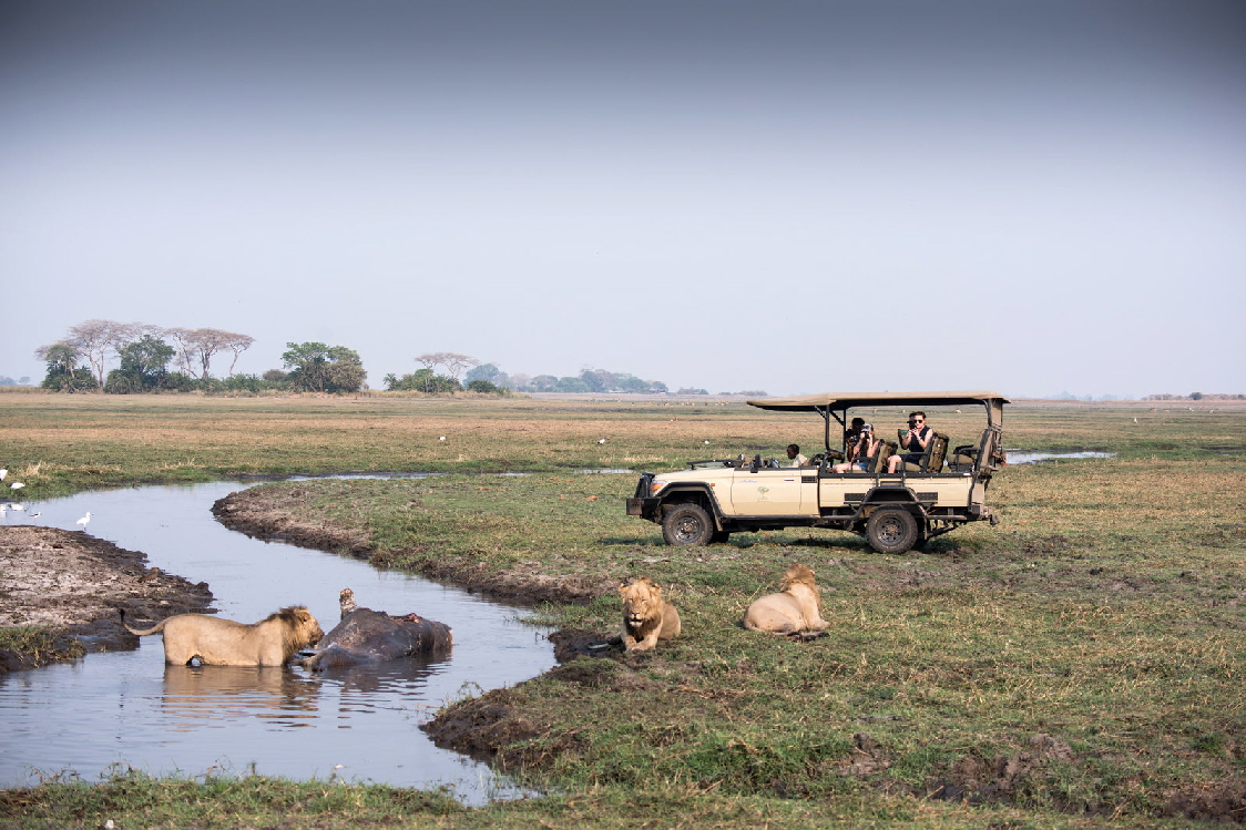 Chisa Busanga Kafue Sambia