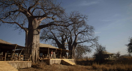 Tarangire- Olkeri-Camp