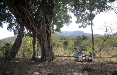 Safari Samburu Kenia