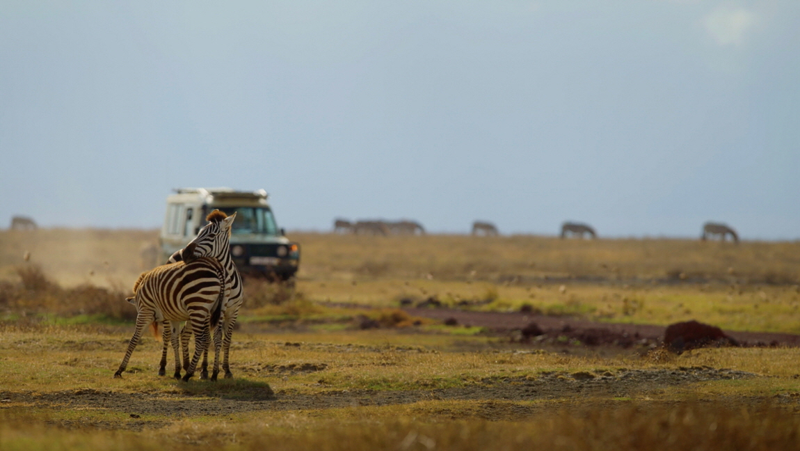 Laba Ngorongoro Lodge 