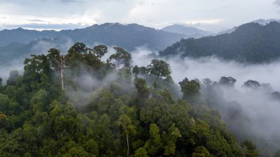 Monteverde Cloud Forest Monteverde Cloud Forest