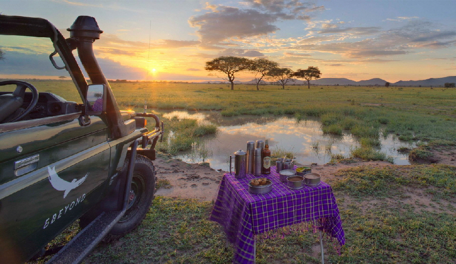 andBeyond-tansania-safari
