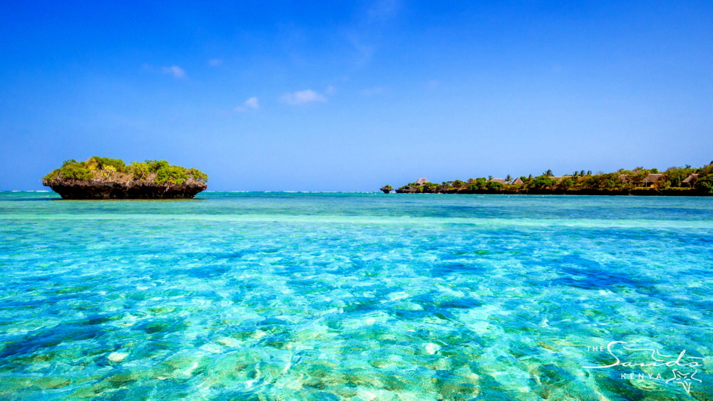 The Sands at Chale Island