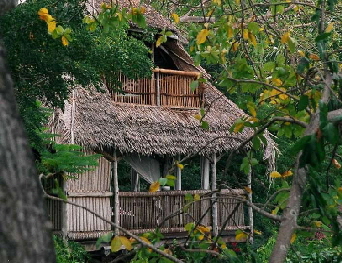 Insel Mafia Chole Mjini Insel Mafia Chole Mjini