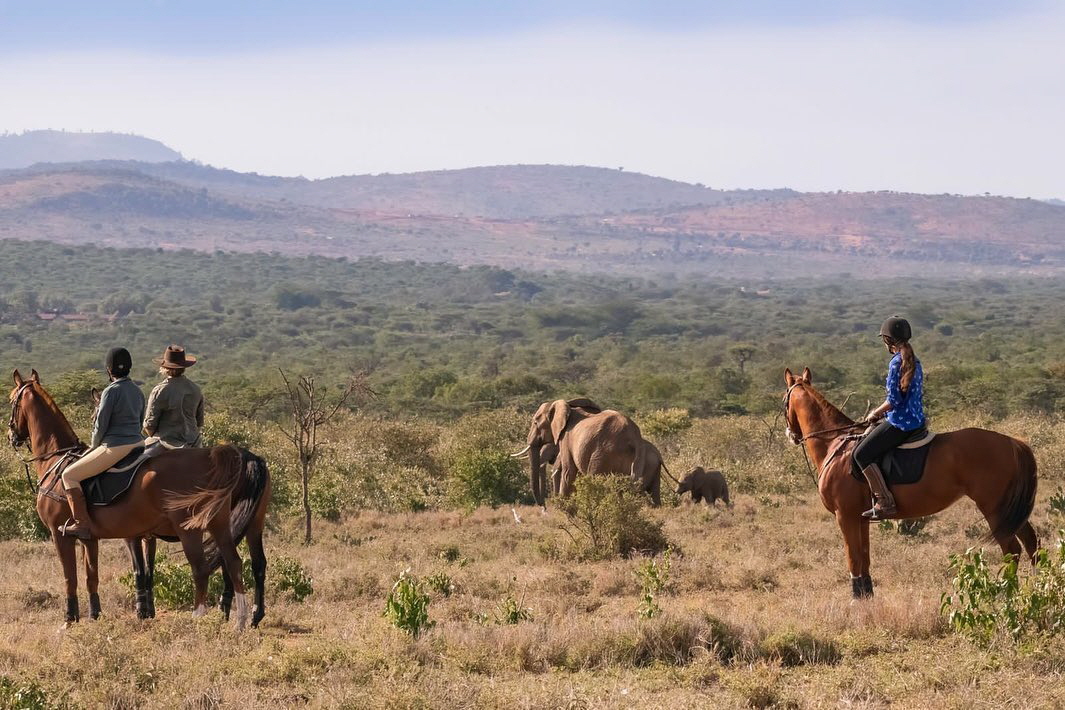 Reitsafari