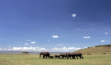 Serian Masai Mara Kenia