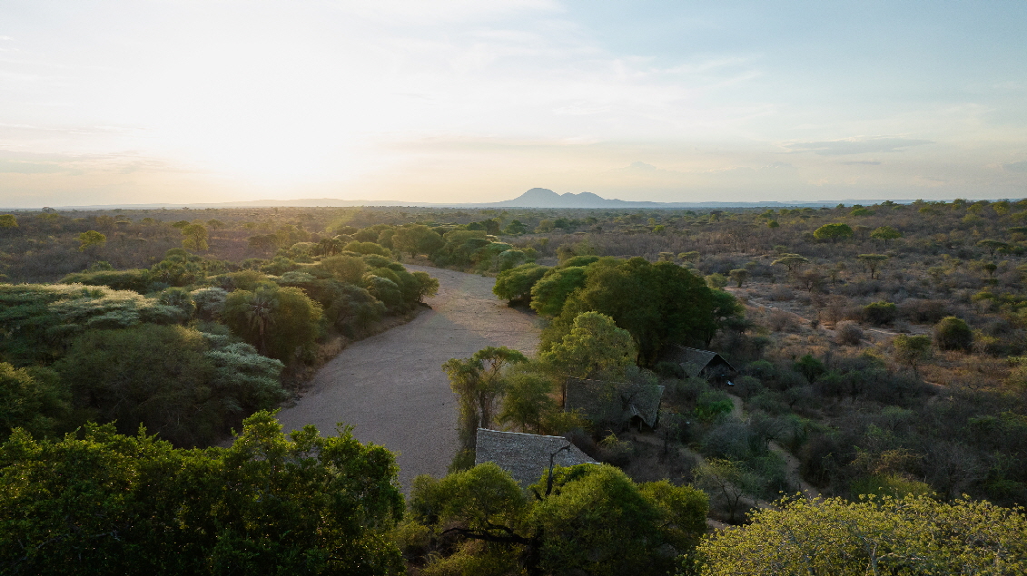 Laba Laba Jongomero  Safaricamp Ruaha 