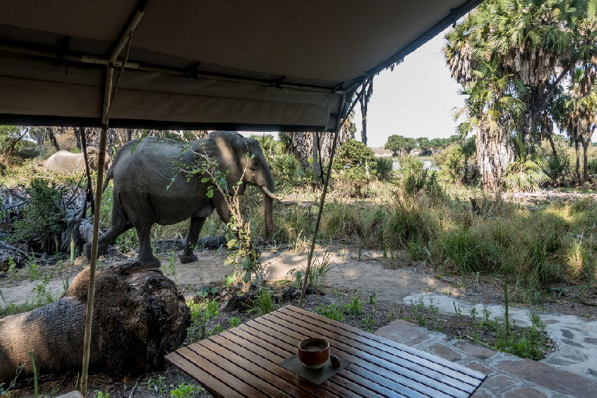 lake-manze-cam-selous