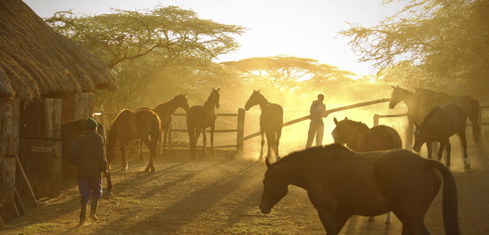 Reitsafaris in Kenia 