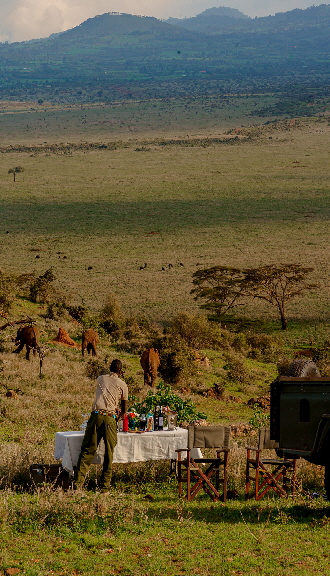 lewa-bushfr�hst�ck-sirikoi23