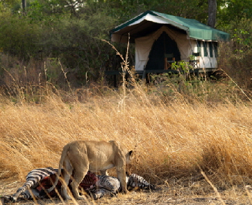 Katavi Wildlife Camp, Manie Uys