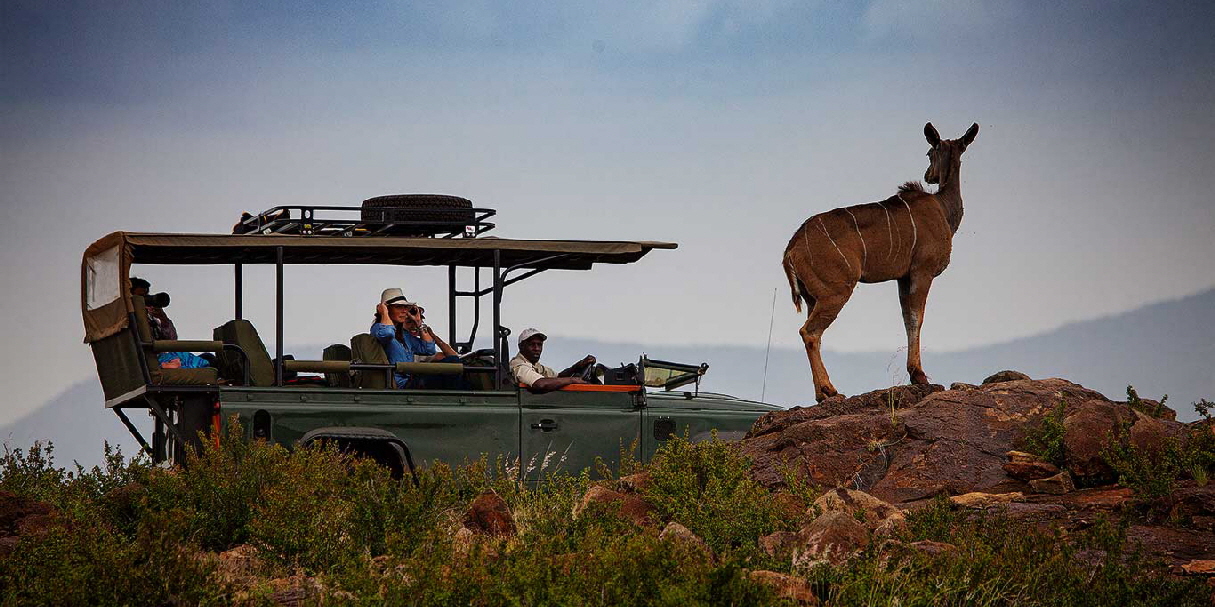 Kenia Safari Loisaba Lodge 