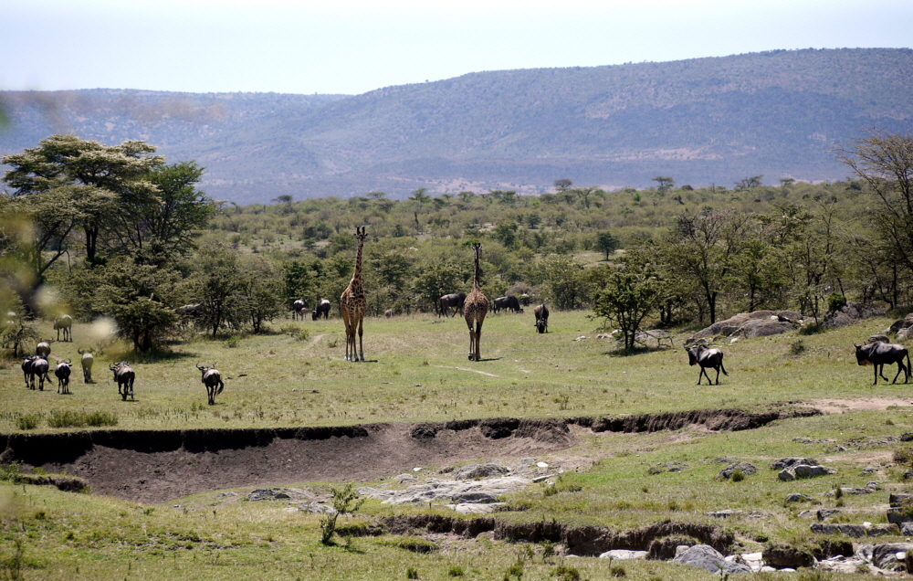 Encounter Mara Camp   Salzlecke