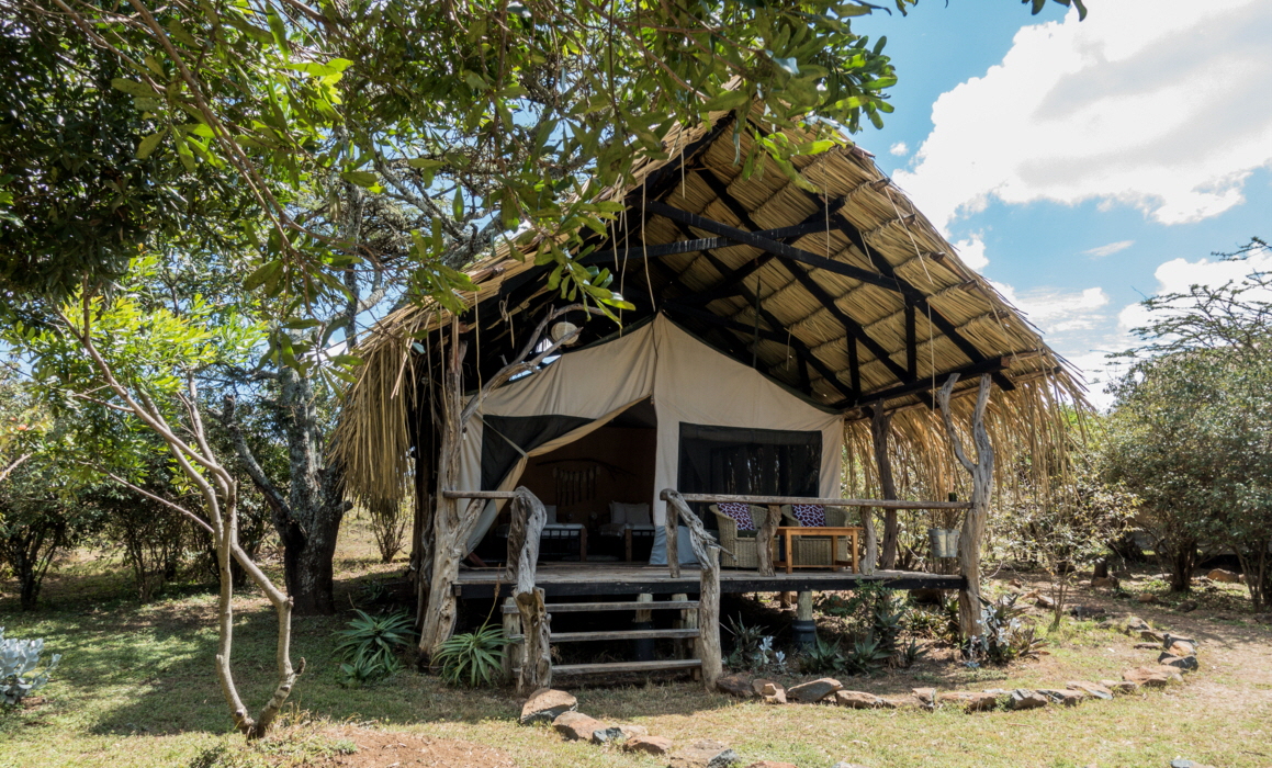 Ekorians Zelt by U. Koppe