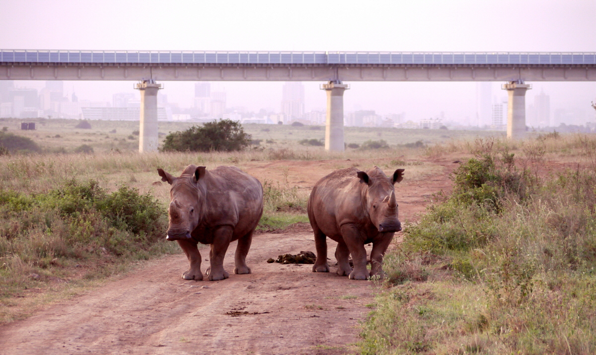 Nairobi Nationalpark