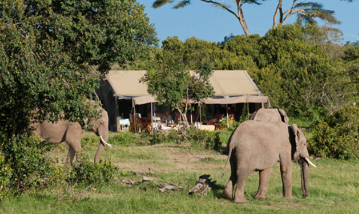 Porini Rhino Camp