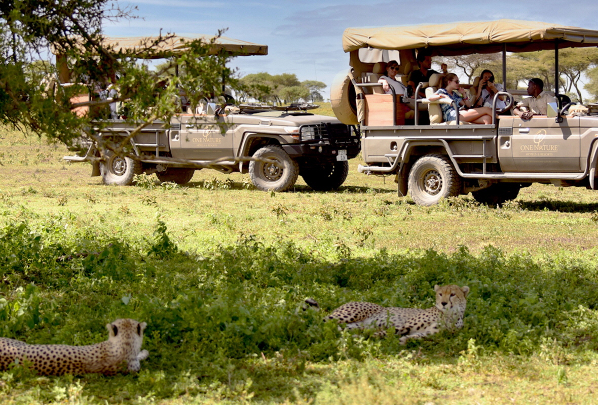 One Nature Nyaruswiga Camp 