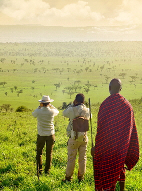 one-nature-Safaricamp-Serengeti