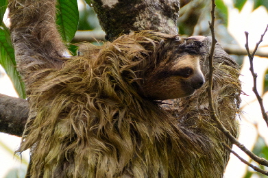 reisebericht-costarica 