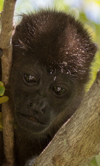 reisebericht-costarica_0012