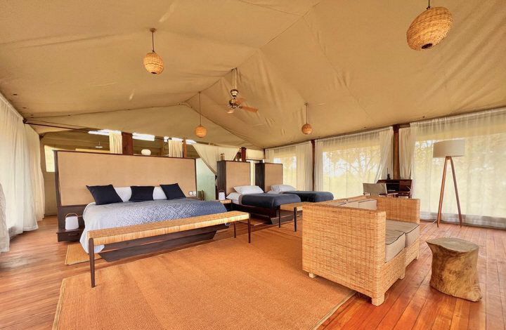 Impala Camp Selous Tansania 