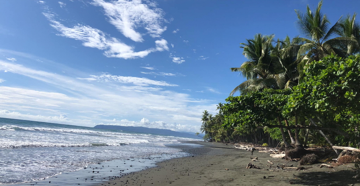 Tiskita Golfo Dulce Costa Rica