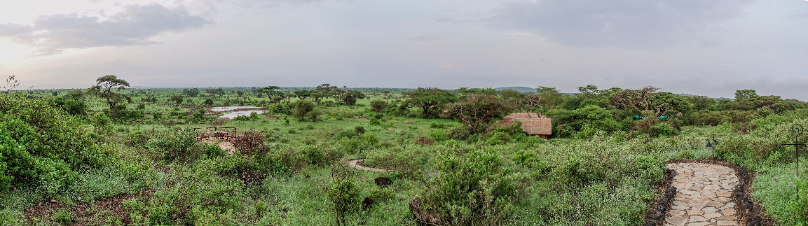 tortilis-panorama-amboseli-Kenia tortilis-panorama-amboseli-Kenia
