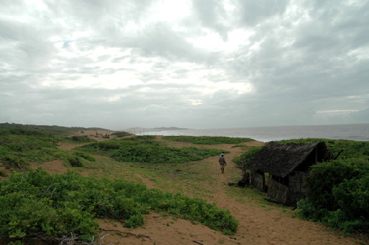 turtlebeach-insel Manda-lamu